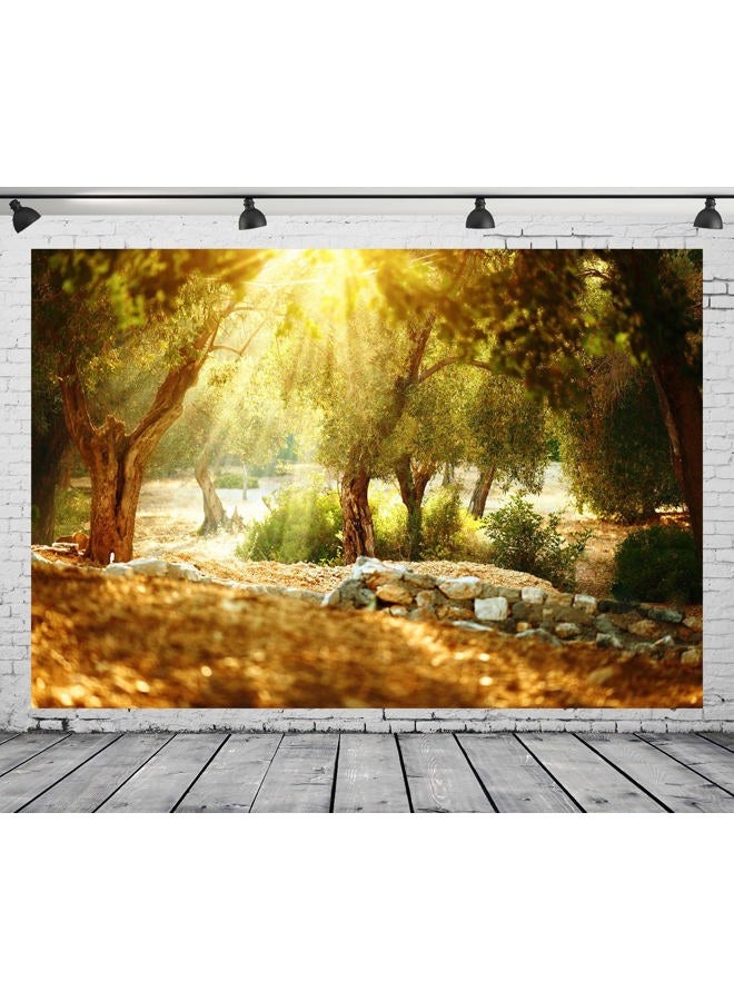 History & Heraldry 7x5ft Fabric Olive Trees Garden Backdrop for Photography Mediterranean Olive Orchard with Old Olive Tree Sunshine Wonderland Rural Natural Scenery Background Wall Mural Photo Studio Props - Image 5