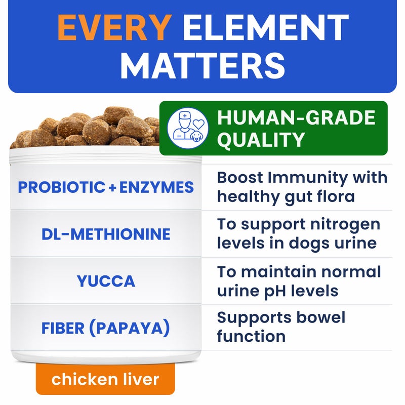 BARK&SPARK Green Grass Chews - Pee Grass Spot Saver Caused by Dog Urine - Urine Neutralizer for Lawn, Gut Health Probiotics & Digestive Enzymes,Lawn Burn from Dog Urine, Grass Burn Spot Chews, Rocks - Image 4