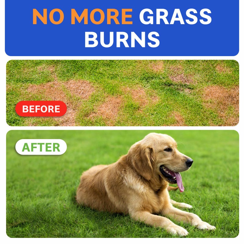 BARK&SPARK Green Grass Chews - Pee Grass Spot Saver Caused by Dog Urine - Urine Neutralizer for Lawn, Gut Health Probiotics & Digestive Enzymes,Lawn Burn from Dog Urine, Grass Burn Spot Chews, Rocks - Image 2