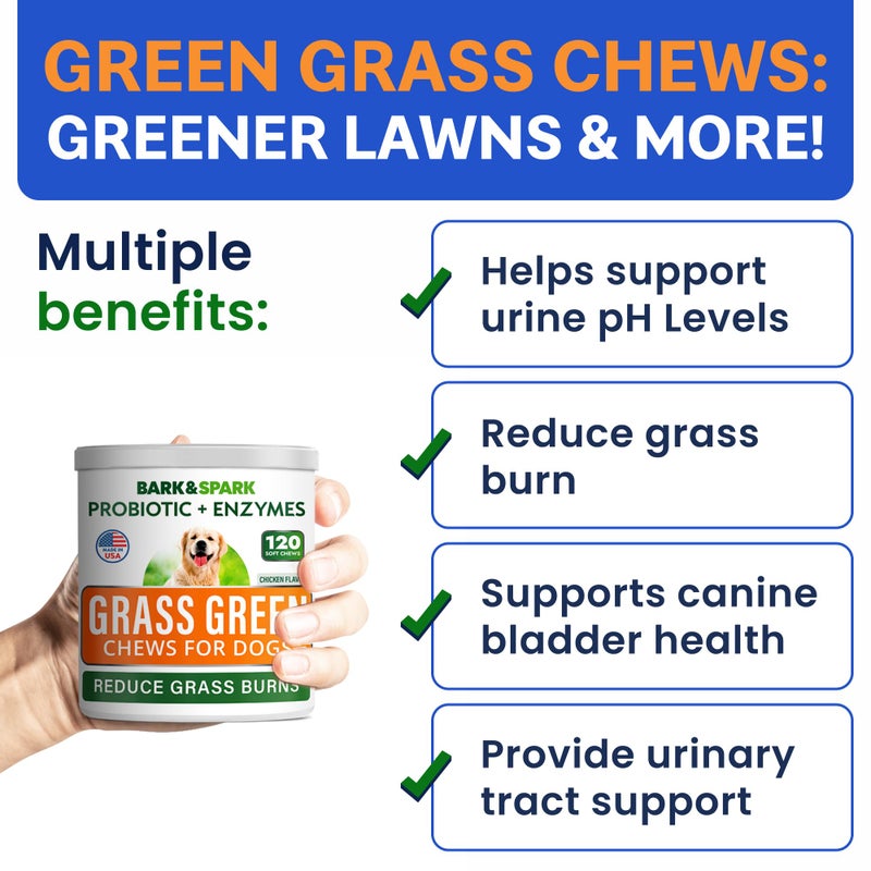 BARK&SPARK Green Grass Chews - Pee Grass Spot Saver Caused by Dog Urine - Urine Neutralizer for Lawn, Gut Health Probiotics & Digestive Enzymes,Lawn Burn from Dog Urine, Grass Burn Spot Chews, Rocks - Image 5
