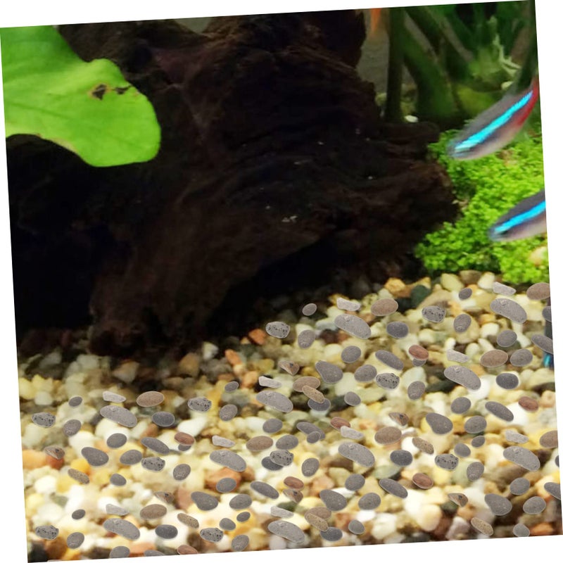 الحجارة الزخرفية الطبيعية لتزيين حديقة أحواض الأسماك وترتيب طاولة الرمل - Image 5