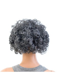 12-Inch Old Lady Cosplay Granny Wig Short Grandmother Curly Wigs For Women With Wig Cap (Silver Gray) - pzsku/Z9D91B5CBDA71DBB62913Z/45/_/1734183077/9e97425d-2465-478b-adc7-5e72fd640ca7