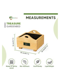 Generic Treasure wooden planter, 22 cm x 22 cm, grow plants in this decorative planter for home gardening, starter kit to grow flowers, herbs, microgreens, suitable for creating miniature garden.  - Image 2