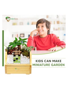Generic Treasure wooden planter, 22 cm x 22 cm, grow plants in this decorative planter for home gardening, starter kit to grow flowers, herbs, microgreens, suitable for creating miniature garden.  - Image 5
