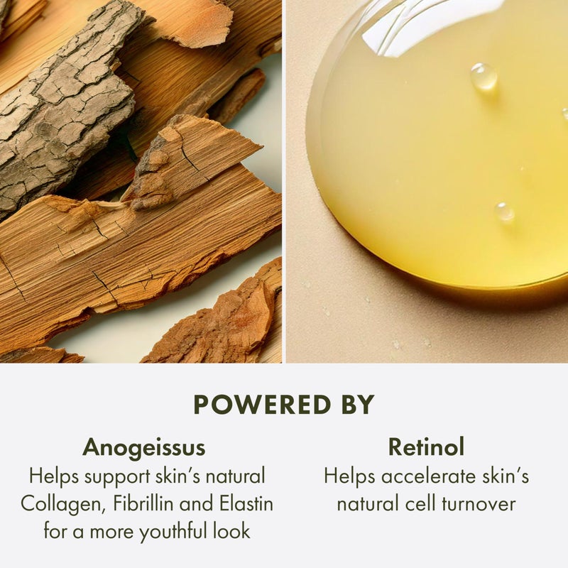 Origins مرطب الليل ريتينول من أورجينز بلانتسكيبشن مع زهرة الألبين للرجال والنساء 1 أونصة - Image 5