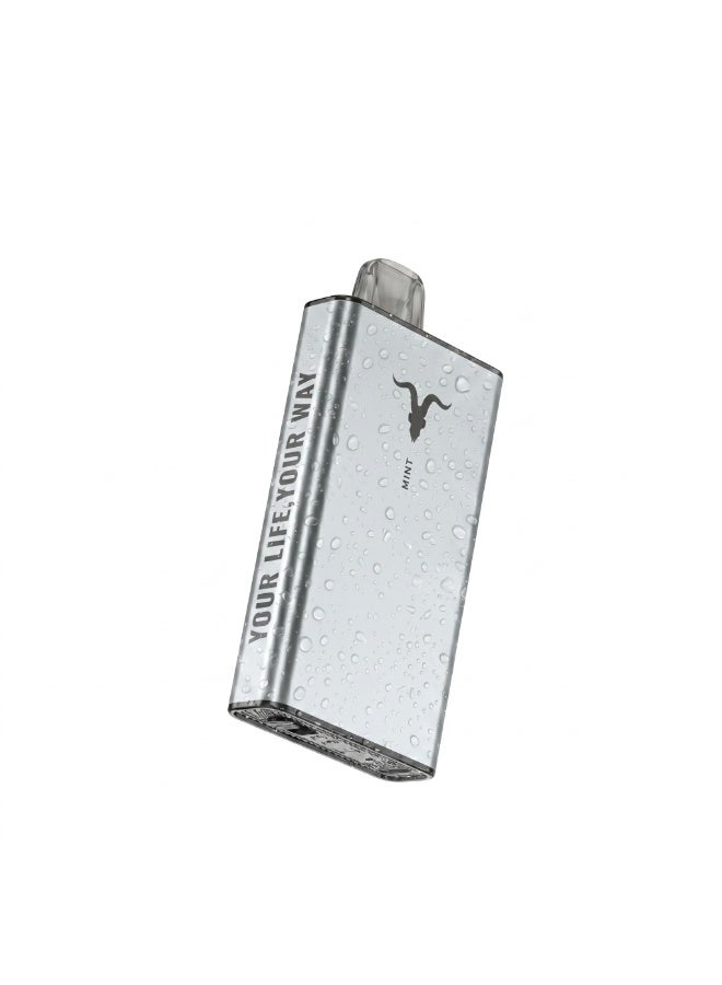 ignite Mint 40000 Puffs 5mg Nicotine Rechargeable Disposable Vape - Image 1