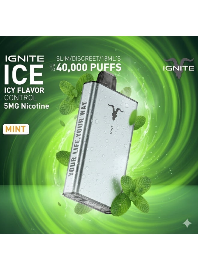 ignite Mint 40000 Puffs 5mg Nicotine Rechargeable Disposable Vape - Image 2