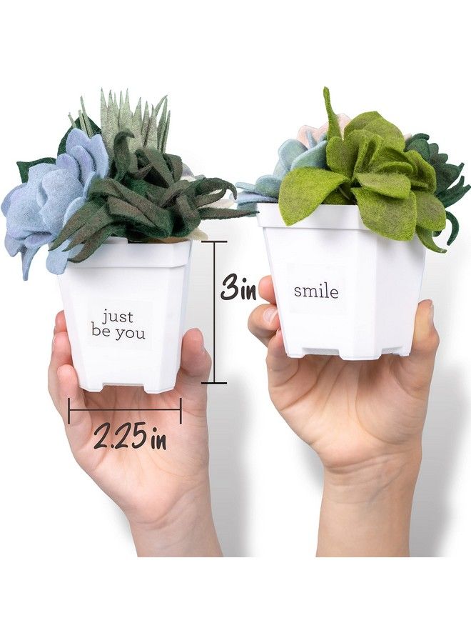 Hapinest Make Your Own Potted Felt Succulents ; Diy Arts And Crafts Kit For Adults Teens And Kids Girls Ages 6 7 8 9 10 11 12 Years Old And Up ; Art Project Gifts ; Hobbies For Women - Image 4