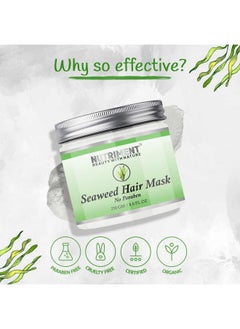 Seaweed Hair Mask Reduces Breakage And Damage Treats Frizzy Hair Healthier Scalp Adds Shine And Improves Hair Texture 250 Gm Hair Mask For Men And Women (Pack Of 1) - pzsku/Z9D94F23883B7E5DCF8A2Z/45/_/1679381837/8f9c10ce-1c69-48ef-9c69-69232bc26ede