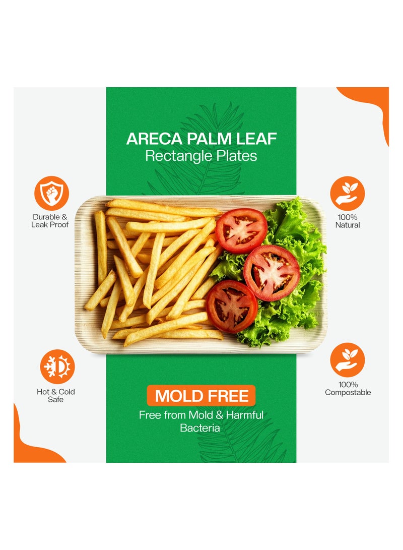 EcoEdge 6x4 Inch Rectangle Areca Palm Leaf Disposable Plates (Pack of 25) | Plant Based, Eco-Friendly, Finish, Nature inspired | Sturdy, Stylish, Disposables for Multi use | 100% Biodegradable - Image 4