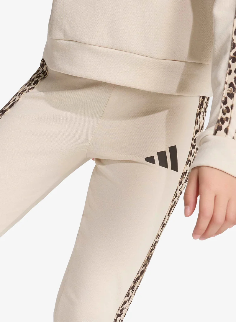 Adidas CRLI/MULTCO/DBROWN Kids 3-Stripes Lg Activewear Set for Women | Best Price UAE