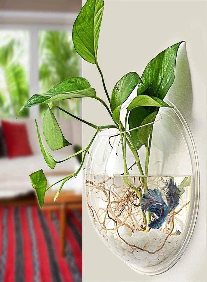 Mistletoe Beautiful Quality Wall Hanging Fish Bowl Acrylic - Assorted Back Color (Not Glass) 9 Inches, 1 LTR - Image 1