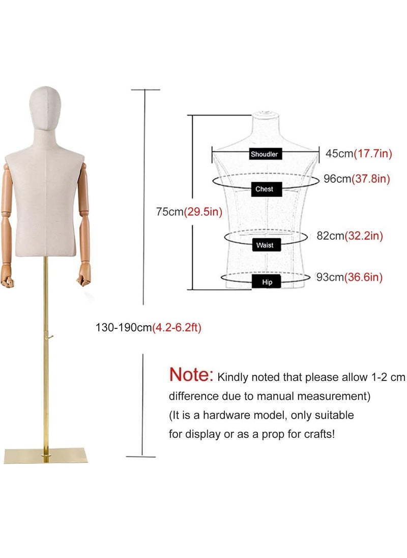 Arabest - Male Mannequin Torso Dress Form Mannequin Body T Shirt Display Hollow Back Mannequin Torso for Counter, Craft Shows, Photos or Design - Image 1