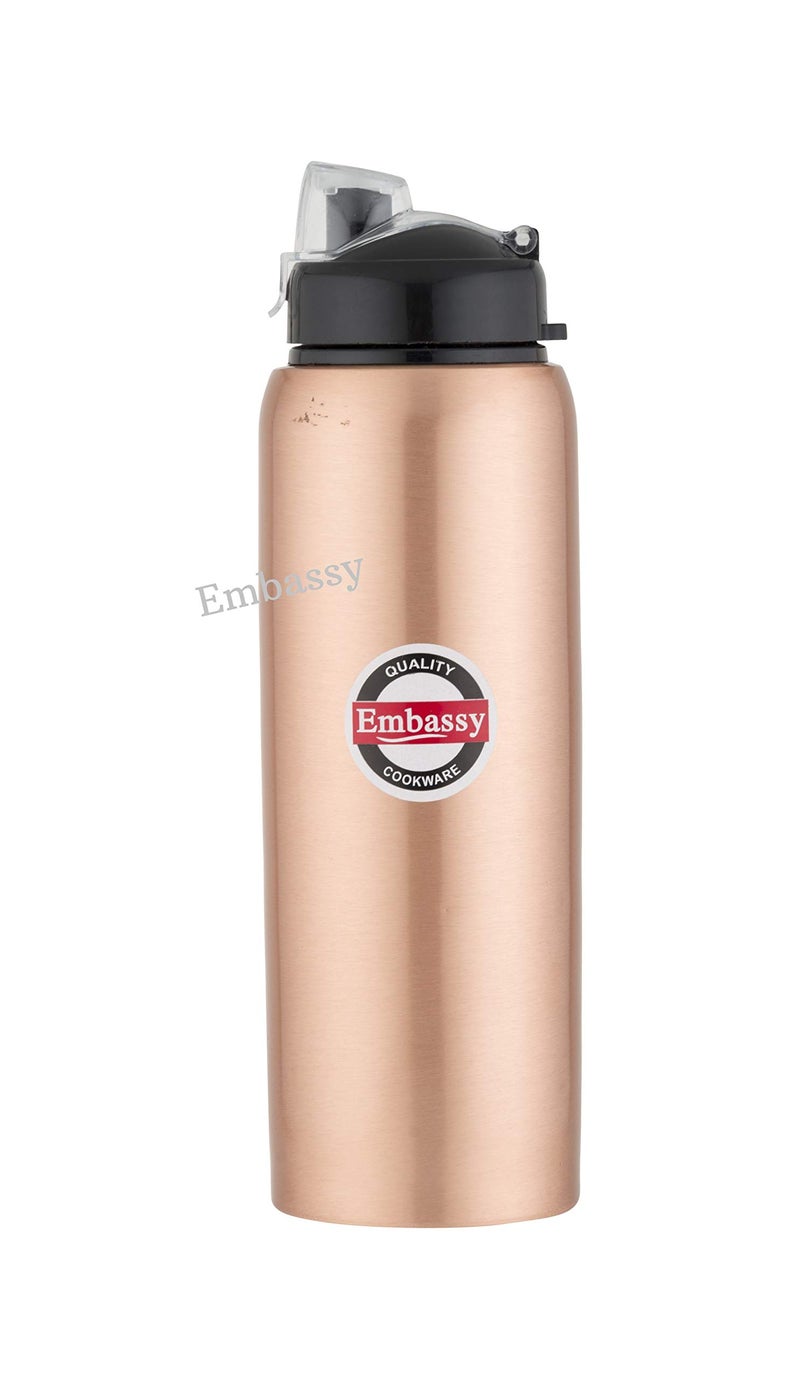 Embassy Premium Copper Water Bottle, Sipper, 600 ml, Pack of 1 - Leak-Proof, Jointless and Pure Copper - Image 1