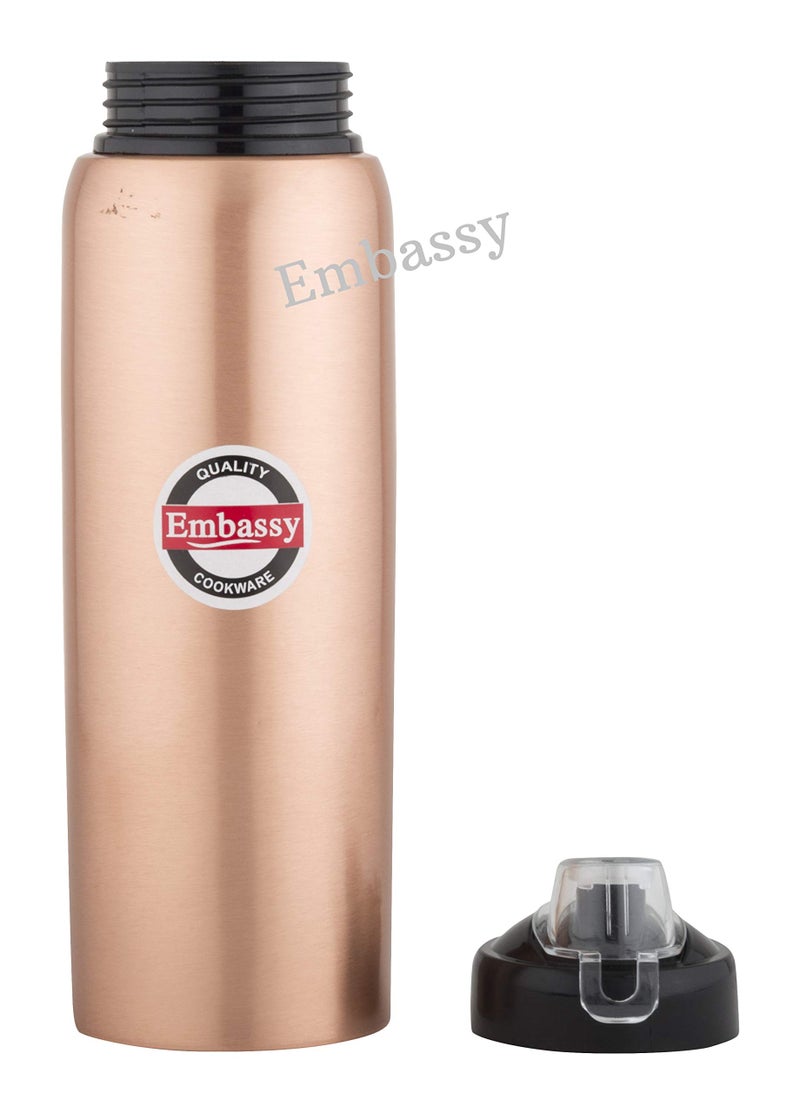 Embassy Premium Copper Water Bottle, Sipper, 600 ml, Pack of 1 - Leak-Proof, Jointless and Pure Copper - Image 2