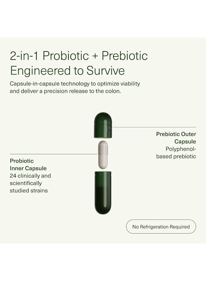 Seed DS-01 سينبيوتيك يومي (60 كبسولة) - 53.6 مليار AFU - صحة الجهاز الهضمي، صحة الأمعاء، وصحة المناعة - بروبيوتيك متعدد السلالات للنساء والرجال - نباتي وثابت على الرف - Image 4