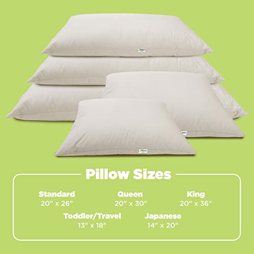 Bean Products Kapok 20" x 36" King Pillow - Breathable, Eco-Friendly and Durable Organic Cotton Fabric Bed Pillow - Soft and Supportive Pillow for Sleeping, Made in The USA - Image 5