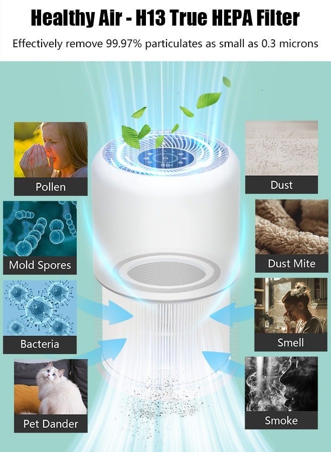 2 حزمة كور 300 مرشح بديل متوافق مع LEVOIT Core 300 و Core 300S لتنقية الهواء ، 3 في 1 H13 فلتر HEPA الحقيقي والكربون المنشط - مقارنة بالجزء # Core 300-RF - Image 3