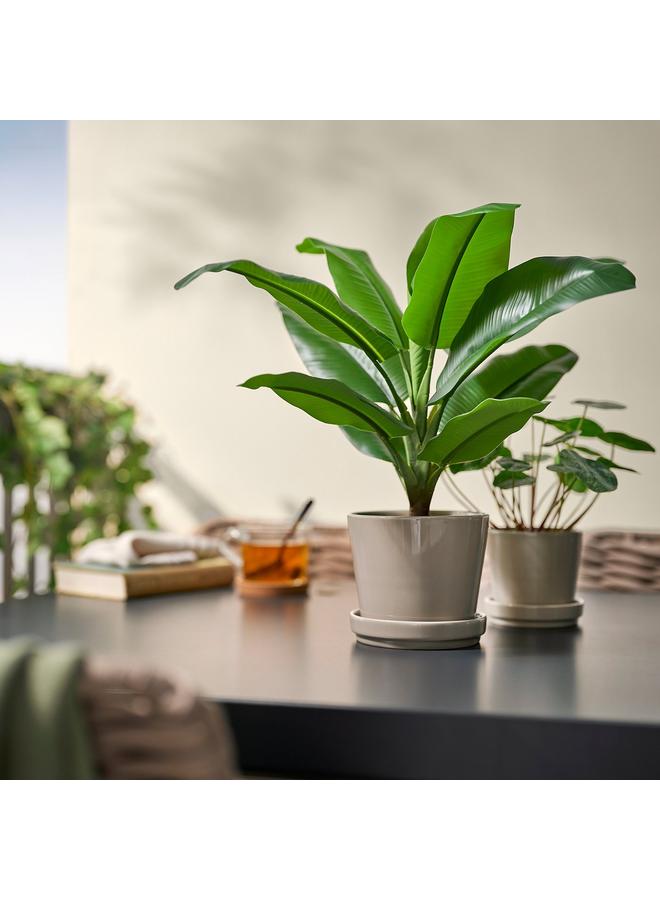 Zaboon Artificial Potted Plant, In/Outdoor Banana Tree, 12 Cm - Image 3