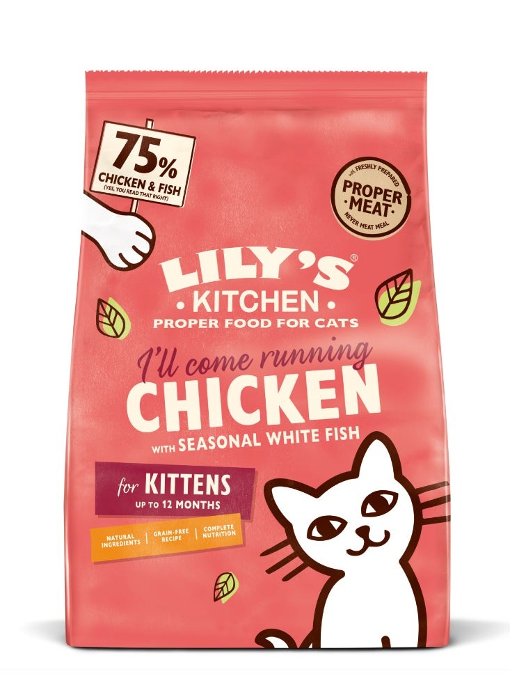 Lily's Kitchen - Lily's Kitchen Curious Kitten Complete Dry Food (800g) - Image 1