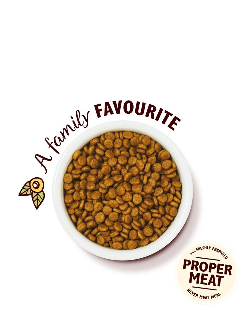 Lily's Kitchen - Lily's Kitchen Curious Kitten Complete Dry Food (800g) - Image 1