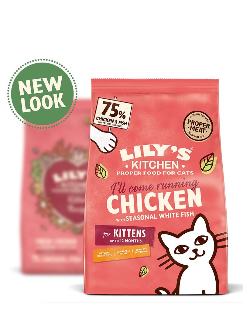 Lily's Kitchen - Lily's Kitchen Curious Kitten Complete Dry Food (800g) - Image 1