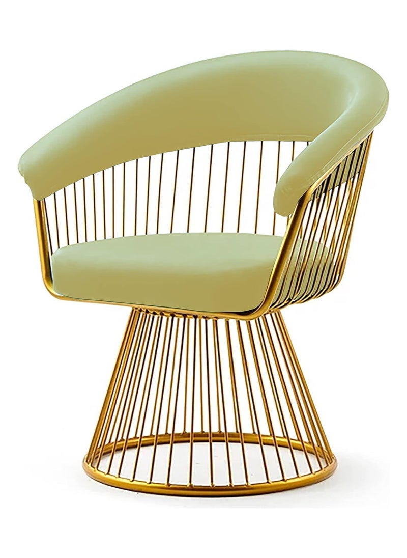 DubaiGallery Velvet Accent Chair with Gold Metal Legs,Lounge Chair for Bedroom,Elegant Comfy Single upholstered Chair,for Living Room/Makeup Room/Home Office 