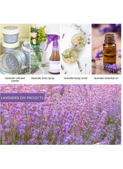 KASTWAVE 5A Lavender Sachet 10g 10pcs Natural Lavender Dried Flower Bag Scent Sachet Drawer Freshener Premium Grade Dried Lavender Deodorizer Freshener for Drawers and Closets Home Car Fragrance Product  - Image 5
