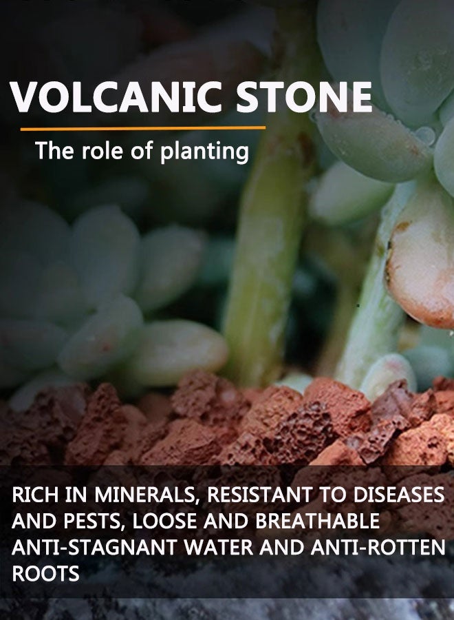 هوتو حجر بركاني حمام سباحة أحمر أسفل خزان الأسماك أسفل وعاء زهرة حجر خام طبيعي جسيمات حجر بركاني منظر طبيعي بيئي (حوالي 1 رطل) - Image 4