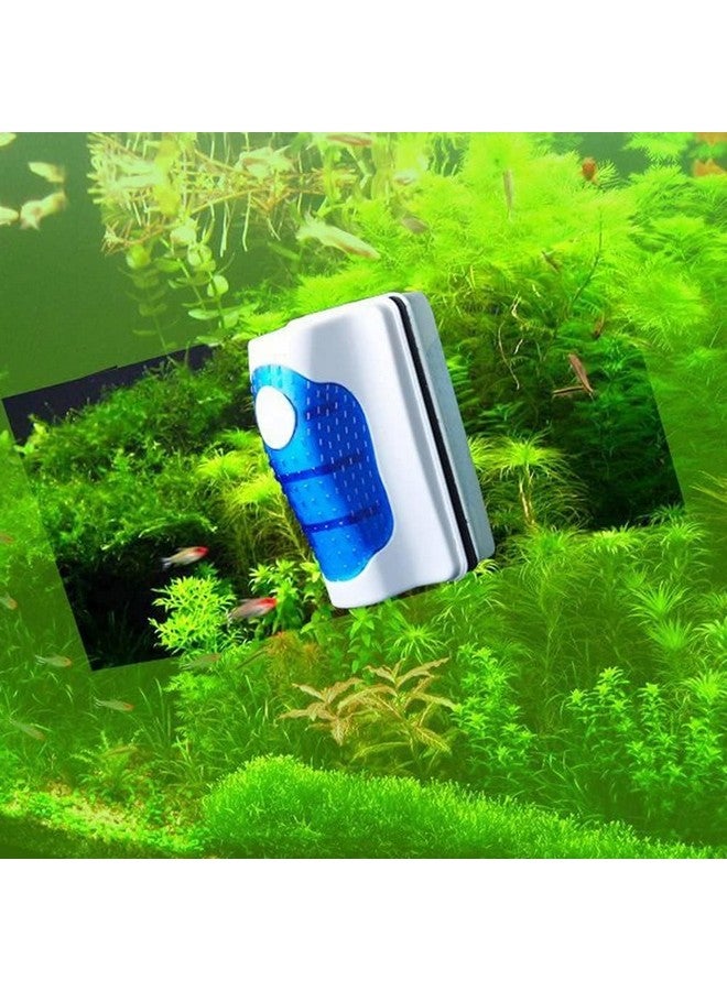 VAYINATO® Magnetic Brush Algae Scraper Cleaner for Aquarium Fish Tank (Upto 2.5 Feet Tank) by Petzlifeworld - Image 4