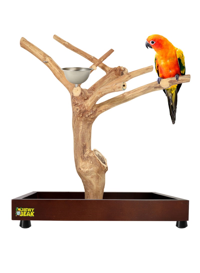 CHEWY BEAK Bird Stand Table Top Natural wooden Parrot Play Stand Indonesian Java wood Tree Perches with Stainless steel feeder small size - Image 1