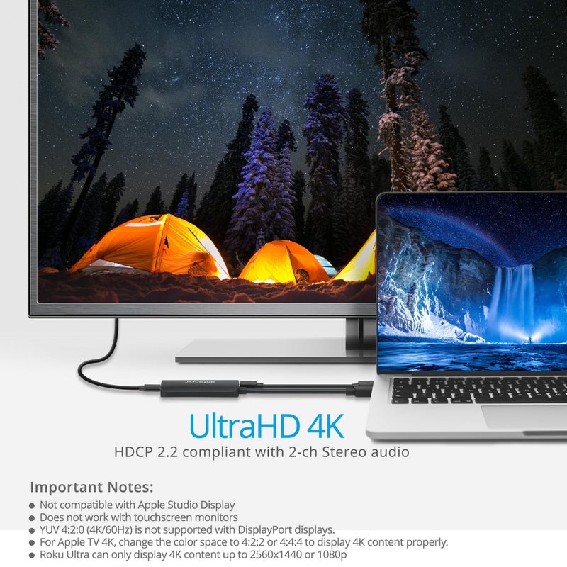gofanco HDMI 2.0 to USB C Converter (HDMI to USB-C Monitor) â€“ Compatible with Xreal, Rokid Air/Max, VITURE One, RayNeo, Portable Monitor, laptops, Switch, ROG Ally, Steam Deck, PS4/5, Xbox(HDMIUSBC) - Image 4