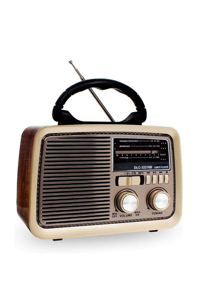 Bluetooth portable radio