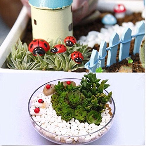 Krisah Combo of 5 pcs Butterflies Stakes,10 pcs Mushrooms & 10pcs Ladybugs Garden/Plant Décor, Multi Color, Small - Image 3
