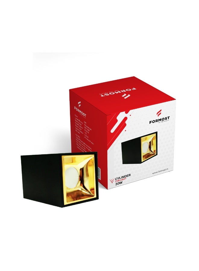 فورموست Formost 30W COB LED Cylinder Square Wall Light | High Power Surface Mounted Spotlight | Premium Indoor Wall Lamp | Energy Efficient | Black & Gold Finish | Made in India - Image 1