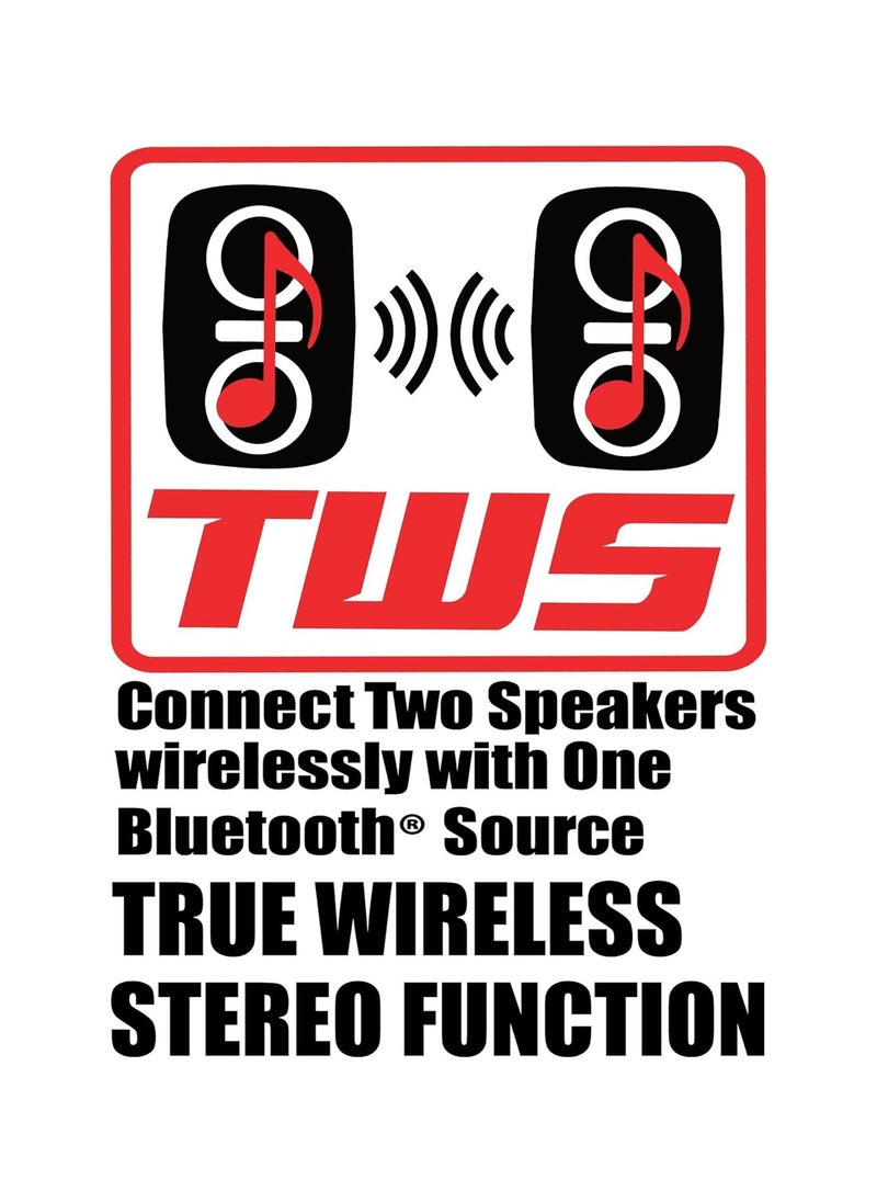 Macon Portable Speaker Wireless With TWS Microphone Radio Function RX-6219  - Image 4