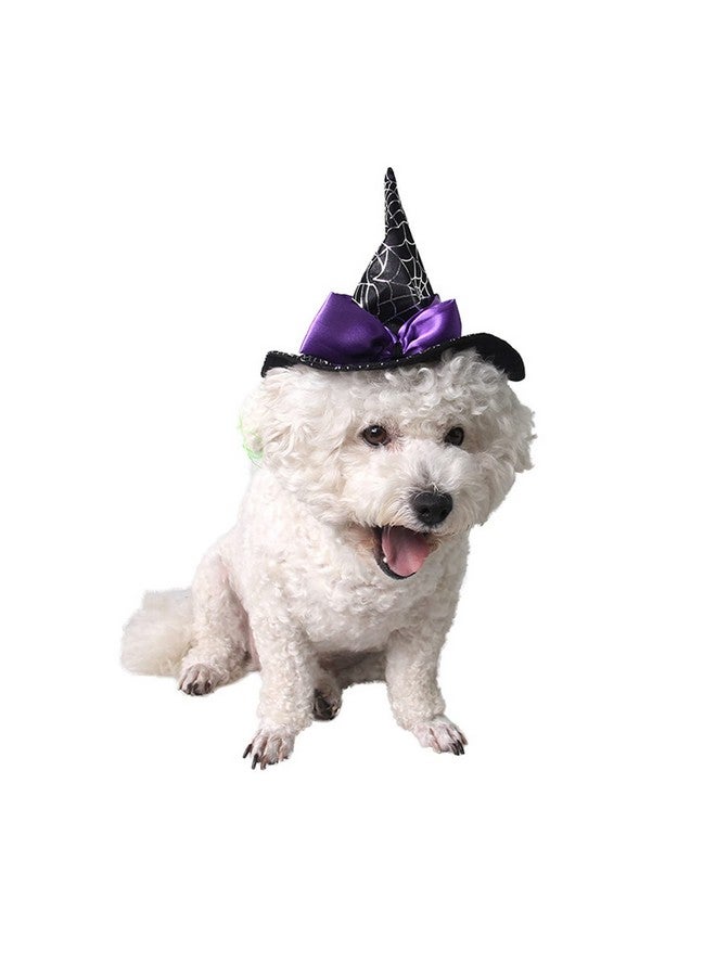 بيناري ايه بي سي قبعات ساحرة للكلاب من BinaryABC في الهالوين، إكسسوارات أزياء الحيوانات الأليفة في الهالوين - Image 2