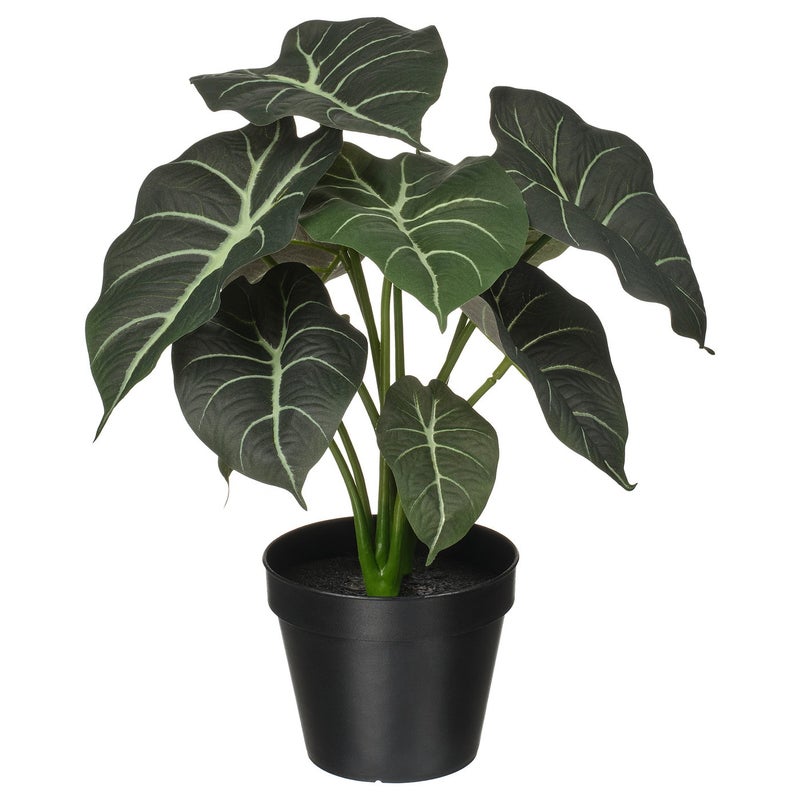FEJKA Artificial Potted Plant, Alocasia, In/Outdoor, 12 cm - Image 1