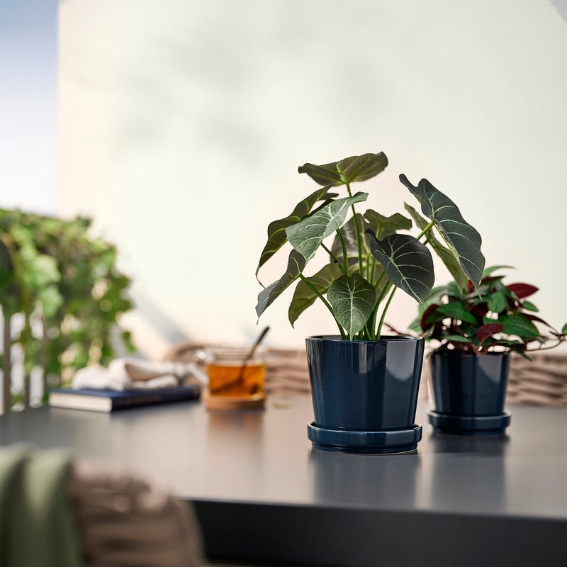 FEJKA Artificial Potted Plant, Alocasia, In/Outdoor, 12 cm - Image 3