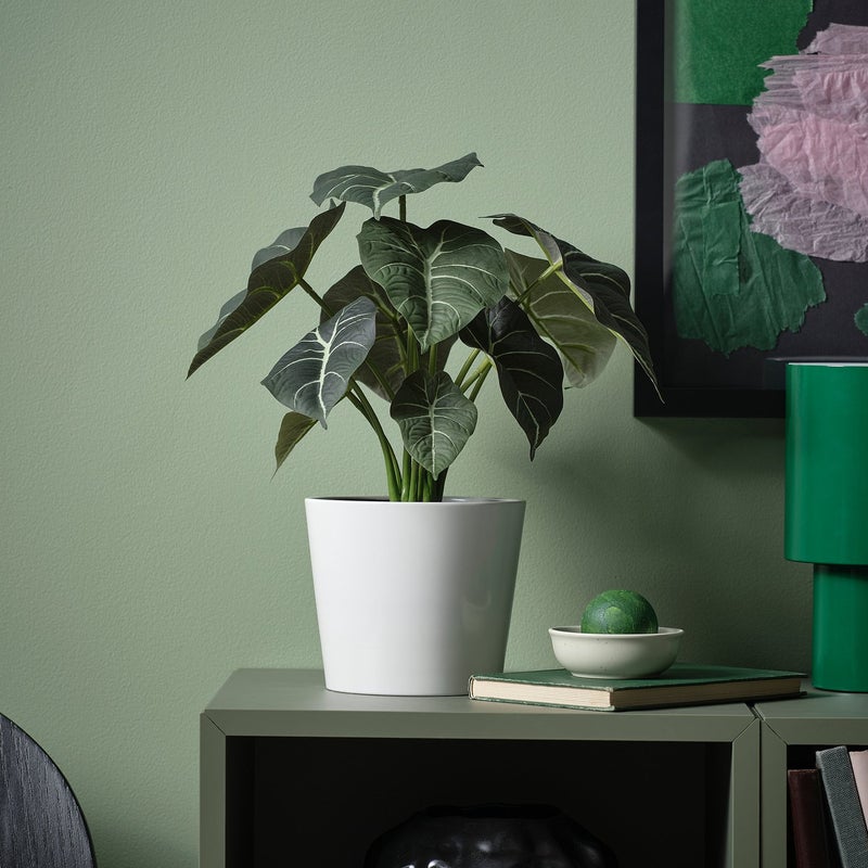 FEJKA Artificial Potted Plant, Alocasia, In/Outdoor, 12 cm - Image 2