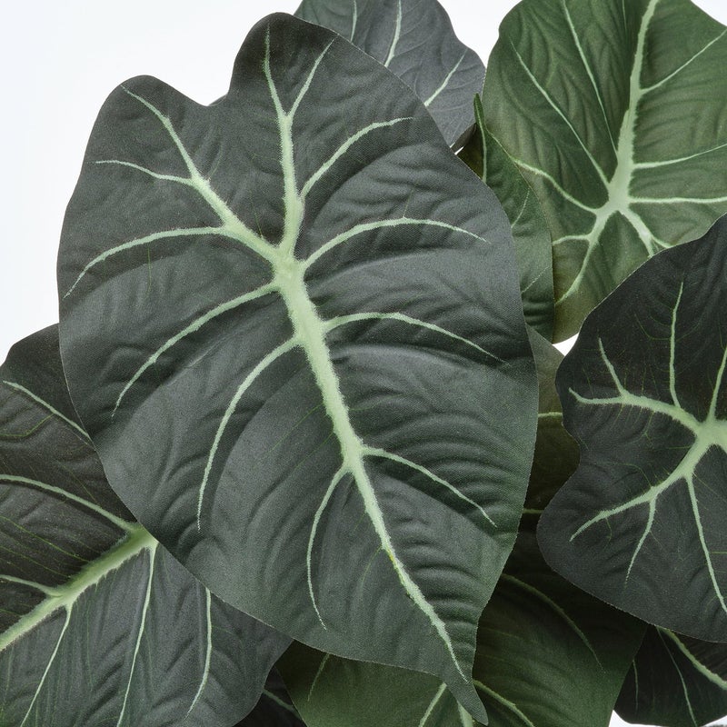FEJKA Artificial Potted Plant, Alocasia, In/Outdoor, 12 cm - Image 4