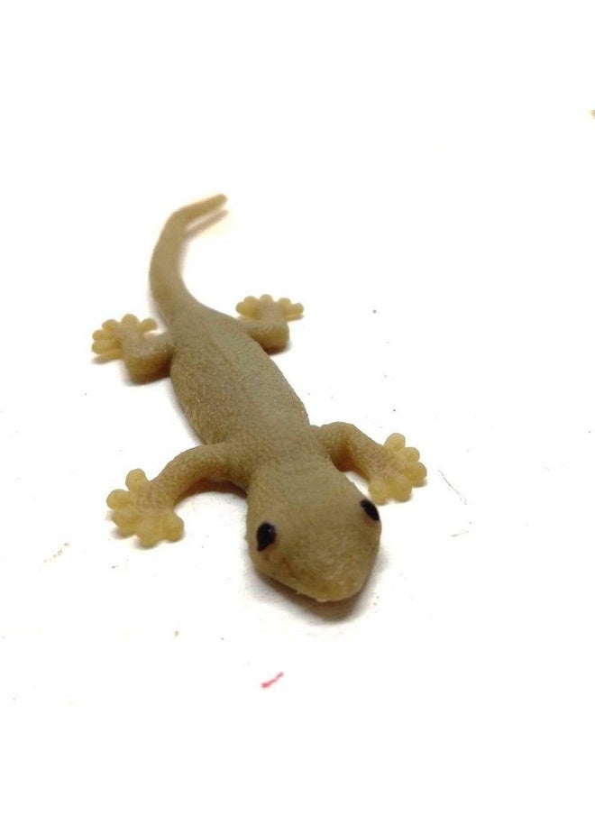 Arsdewy ARSDEWY Combo Set of 4 Different Key Operated Toys, Fish, Lizard, Mini Vehicle, Drummer Boy Toys for Kids/Baby Attractive Colors  - Image 3