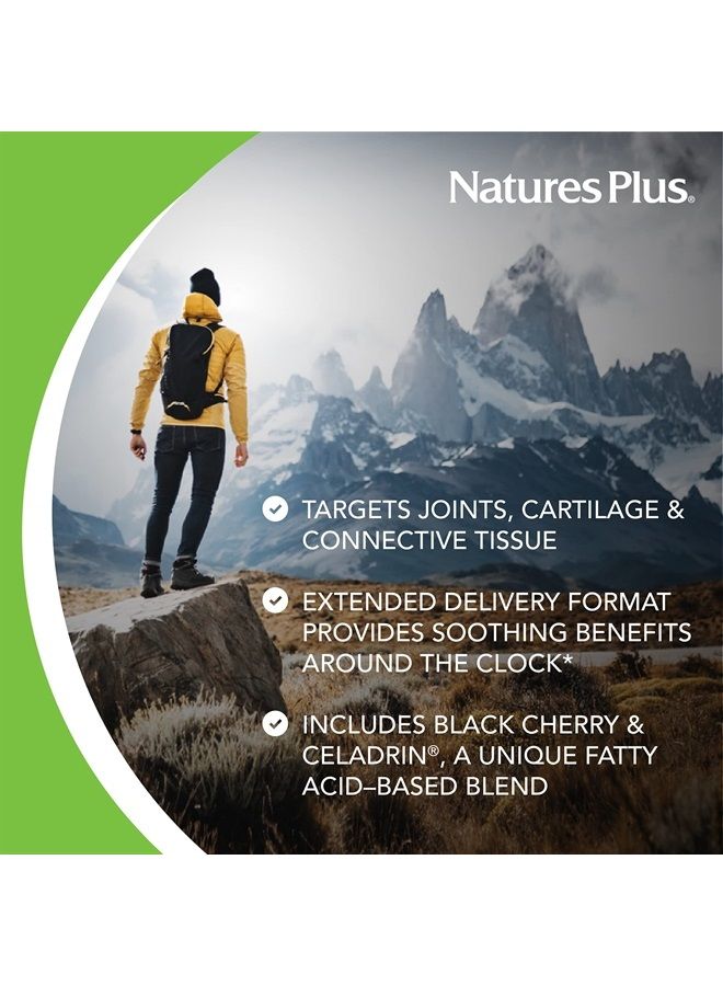 Nature's Plus ناتشرز بلس أدفانسد ثيرابيوتيكس تريبل سترينغث ألترا Rx-جوانت، توصيل ممتد - 120 قرص - جلوكوزامين/كوندرويتين/MSM - دعم مفاصل عالي الفعالية - خالي من الغلوتين - 30 حصة - Image 3