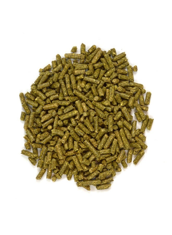 أوكسبو طعام أوكسبو أنيمال هيلث جاردن سيليكت للشينشيلا، وصفة مستوحاة من الحديقة لشينشيلا من جميع الأعمار، حبيبات طعام غنية بالفيتامينات والمعادن للحيوانات الأليفة، غير معدلة وراثيًا، صنع في الولايات المتحدة الأمريكية، كيس وزن 3 أرطال - Image 5