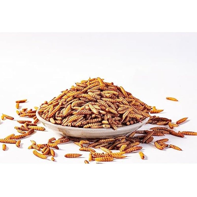 Arabest Dried Black Soldier Fly Larvae (5lb), 100% Natural Non-GMO, Treat for Chickens, More Calcium Chicken Feed Than Mealworms - Image 4