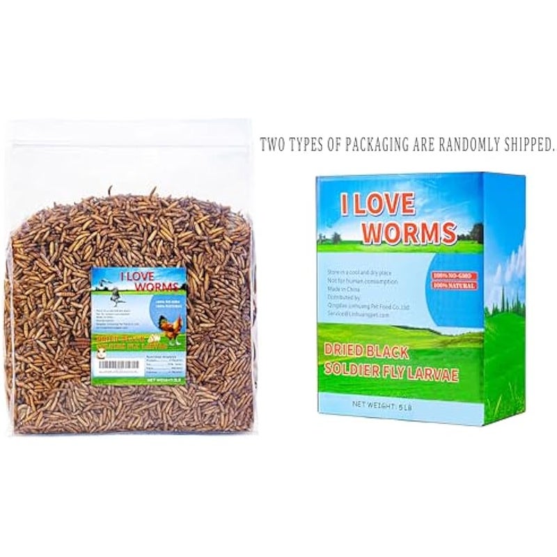 Arabest Dried Black Soldier Fly Larvae (5lb), 100% Natural Non-GMO, Treat for Chickens, More Calcium Chicken Feed Than Mealworms - Image 3