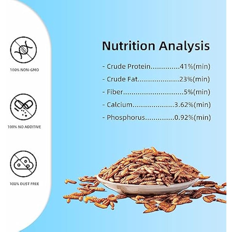 Arabest Dried Black Soldier Fly Larvae (5lb), 100% Natural Non-GMO, Treat for Chickens, More Calcium Chicken Feed Than Mealworms - Image 5