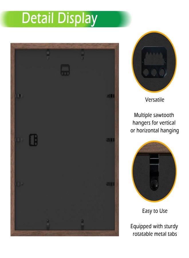 FrameWorks إطار عرض خشبي من خشب البلوط الداكن مقاس 12 بوصة × 16 بوصة من FrameWorks - علبة عرض بظهر من اللباد الناعم، صندوق ذكريات بزجاج مقوى، صندوق عرض بدبابيس تثبيت بيضاء أنيقة، صندوق زهور خشبي - Image 4