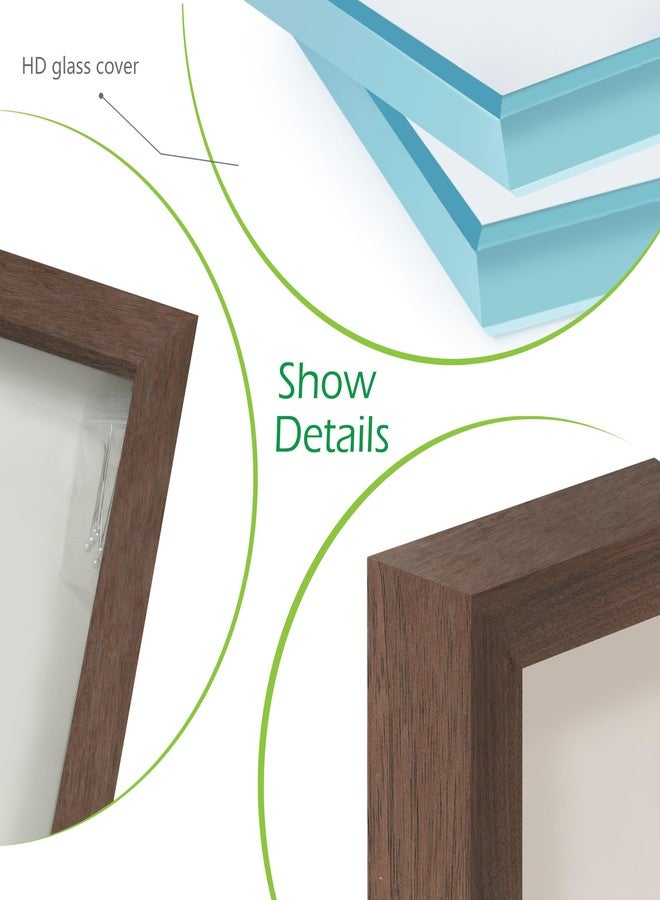 FrameWorks إطار عرض خشبي من خشب البلوط الداكن مقاس 12 بوصة × 16 بوصة من FrameWorks - علبة عرض بظهر من اللباد الناعم، صندوق ذكريات بزجاج مقوى، صندوق عرض بدبابيس تثبيت بيضاء أنيقة، صندوق زهور خشبي - Image 3