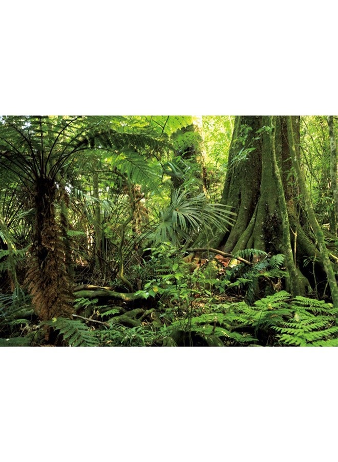 AWERT 48x20 inches Forest Terrarium Background Stone Green Huge Tree Reptile Habitat Background Tropical Rainforest Aquarium Background Durable Polyester Background - Image 1